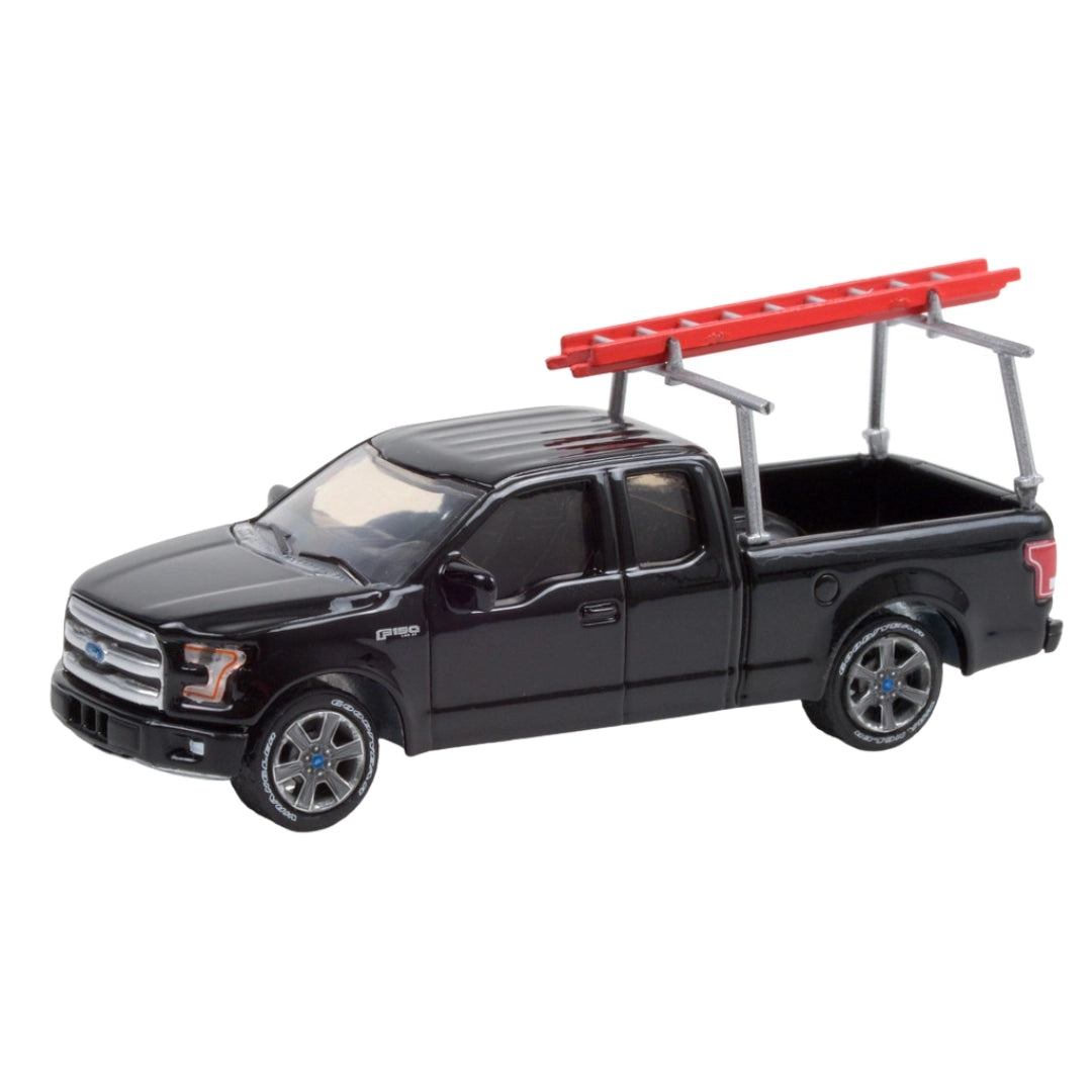 2017 Ford F-150 (Ladder Rack)