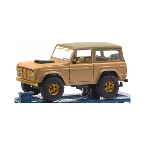 1966 Ford Bronco - Gold (Gold chrome rims, Chase)