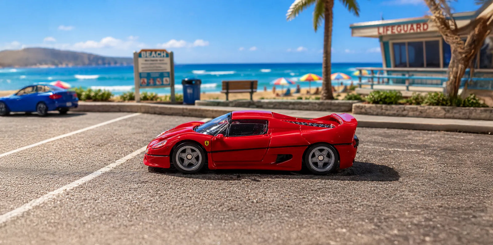 Banner image-5