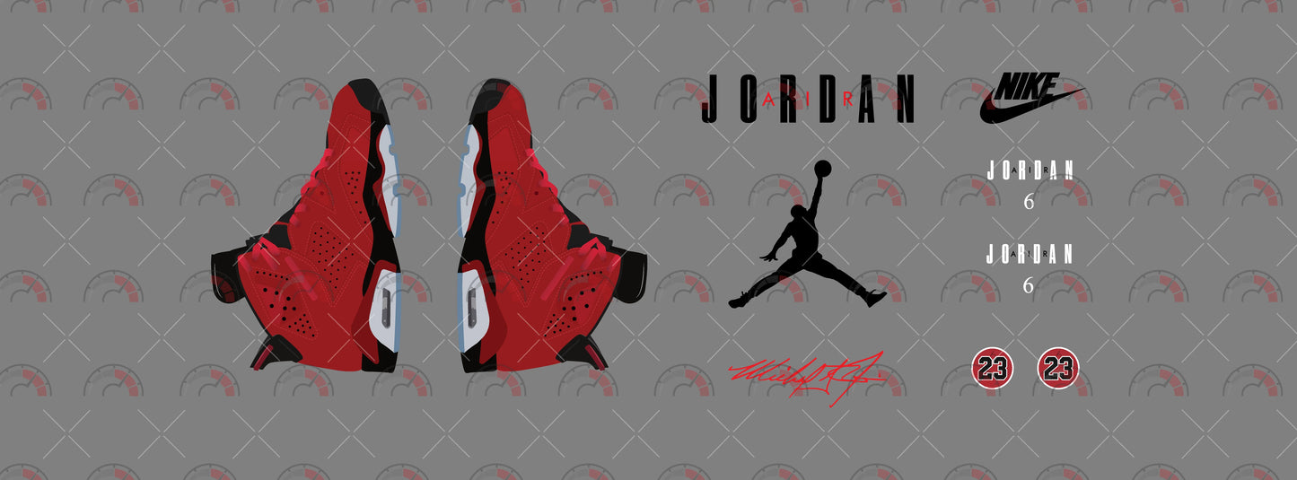 Air Jordan 006