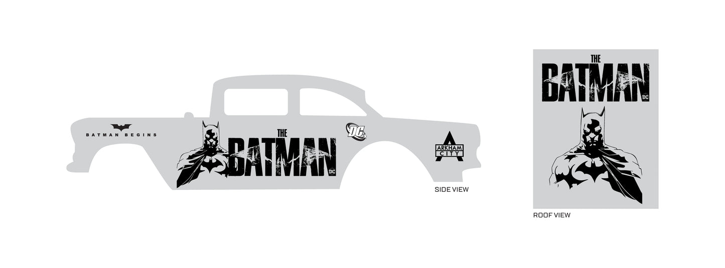 Bat in Shadow 02