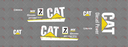 CAT 01