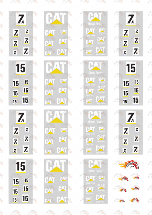CAT 01