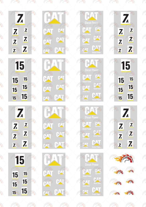 CAT 01