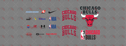 Chicago Bulls 02