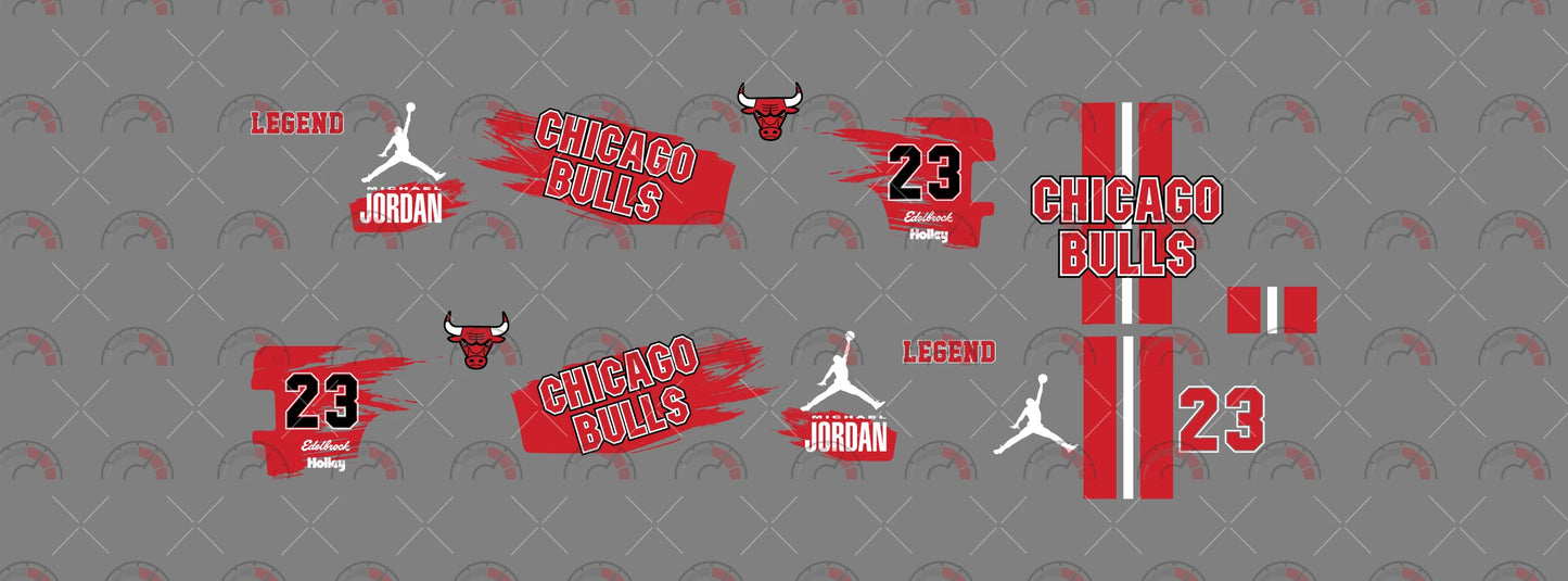 Chicago Bulls 03