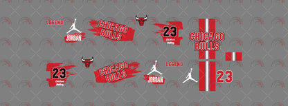 Chicago Bulls 03