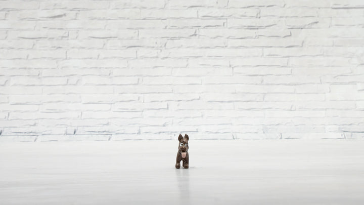 Cochino Homies Series 4 Toy