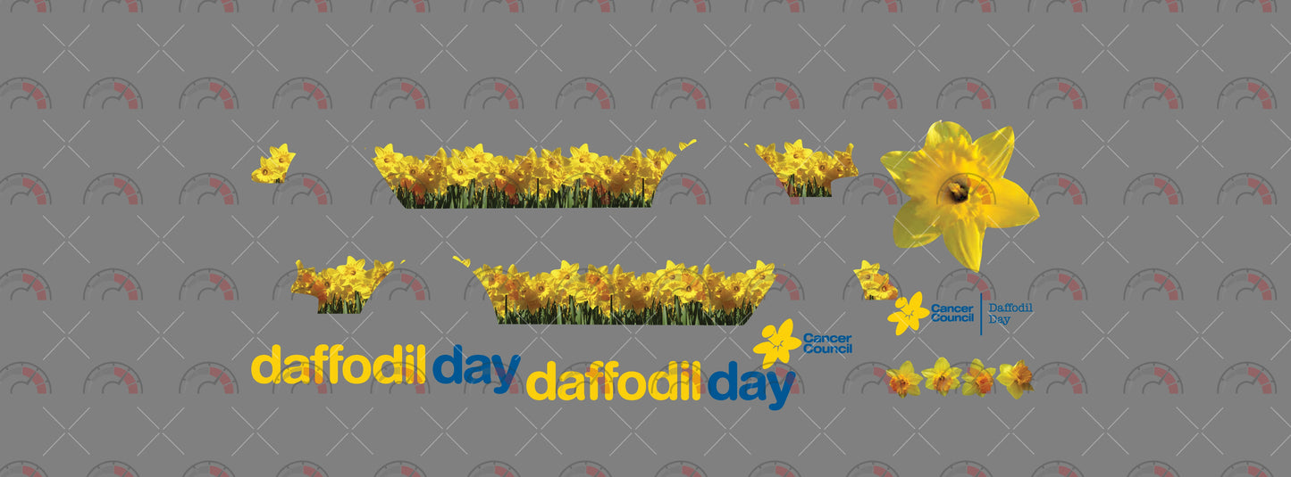 Daffodil Day