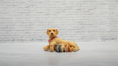 Dutchess & Pupps