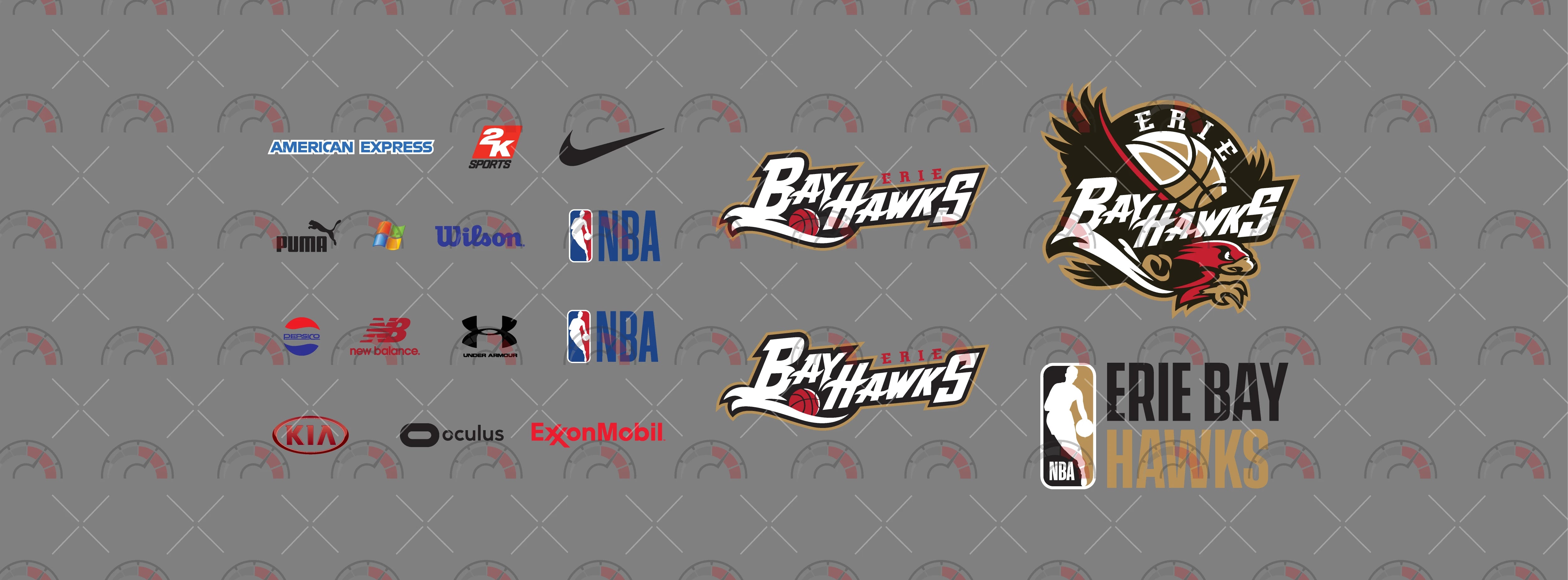 Erie Bay Hawks Custom Car Decals
