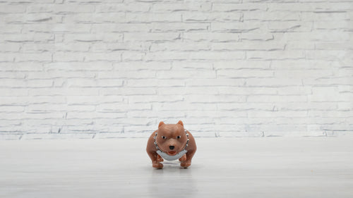 King Bully