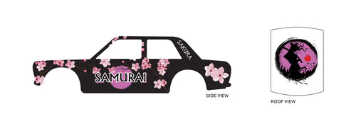 Lady Samurai 02 B