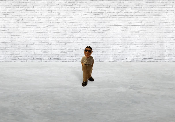 Mr Grins Homies Series 13 Toy