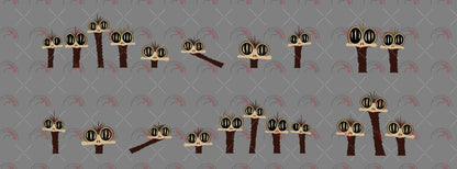 Outback Emus 01
