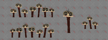 Outback Emus 03