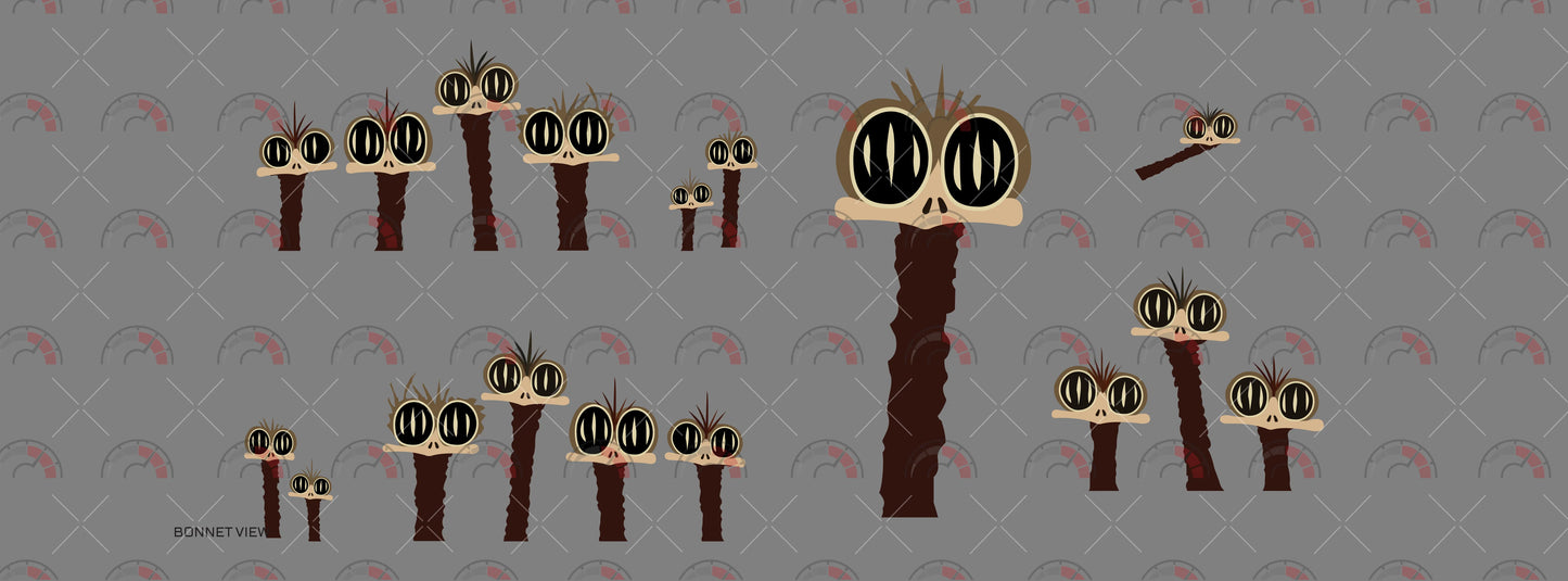 Outback Emus 04