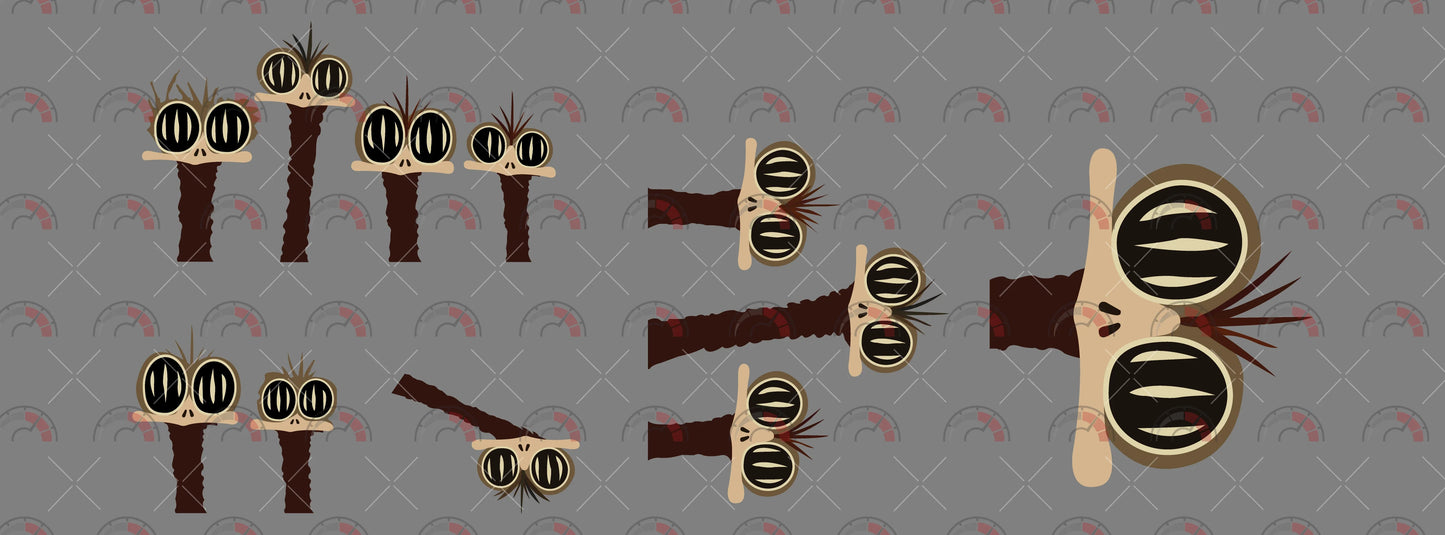 Outback Emus 05