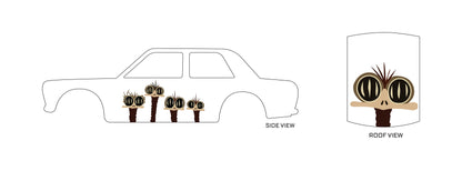 Outback Emus 05