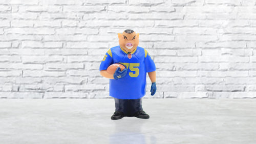 Pigskin