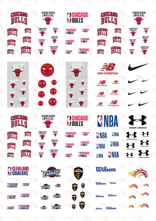 Chicago Bulls 02