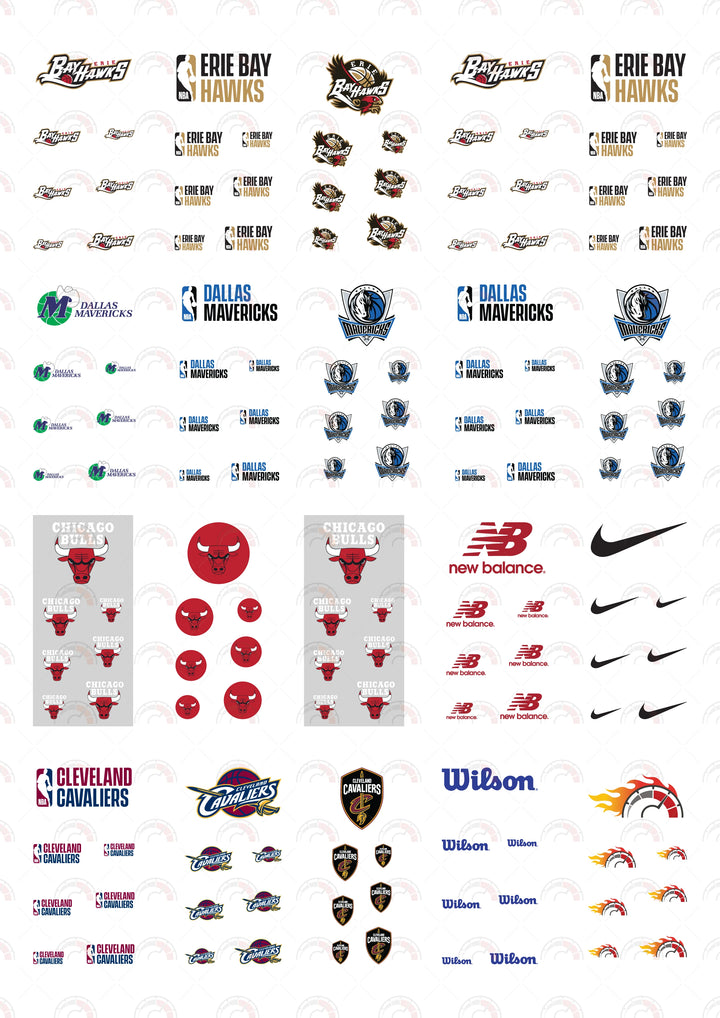 Erie Bay Hawks Play Vehicle Decals